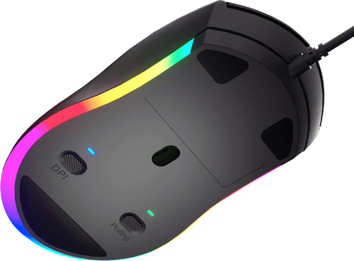 Maus Cougar Minos XT, i zi