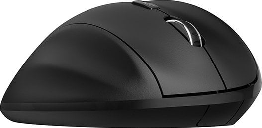 Maus Powerton Cloe, wireless, USB, i zi