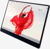 Monitor portativ Ricoh 150BW, 15.6", OLED Full HD, me prekje