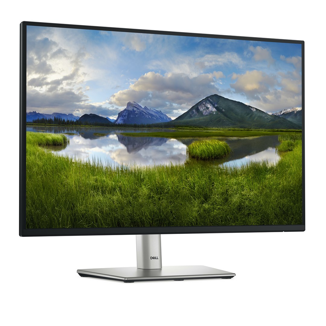Monitor Dell P2425E, 24", WUXGA, 5ms, i zi