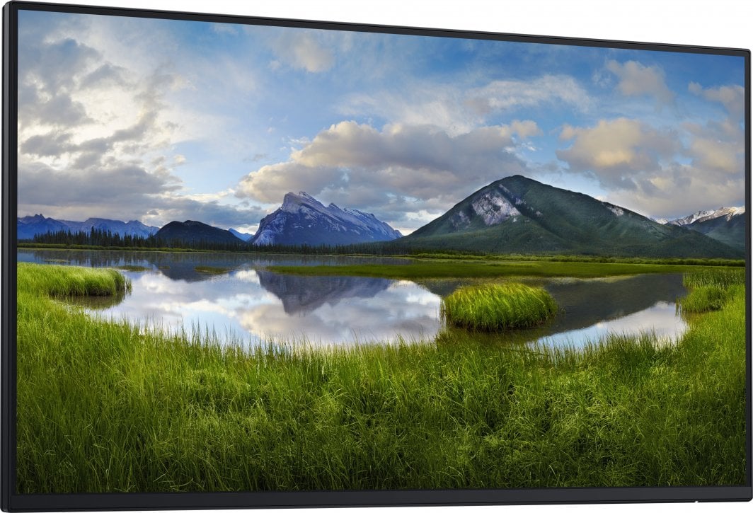 Monitor Dell P2425HE, 23.8", Full HD, i zi (pa bazë)