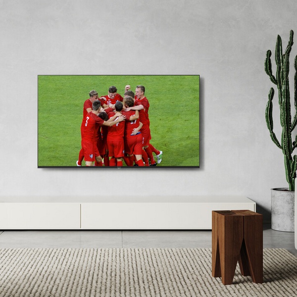 Televizor Panasonic TX-65LX800E - 65'' (164cm), 4K UHD, i zi