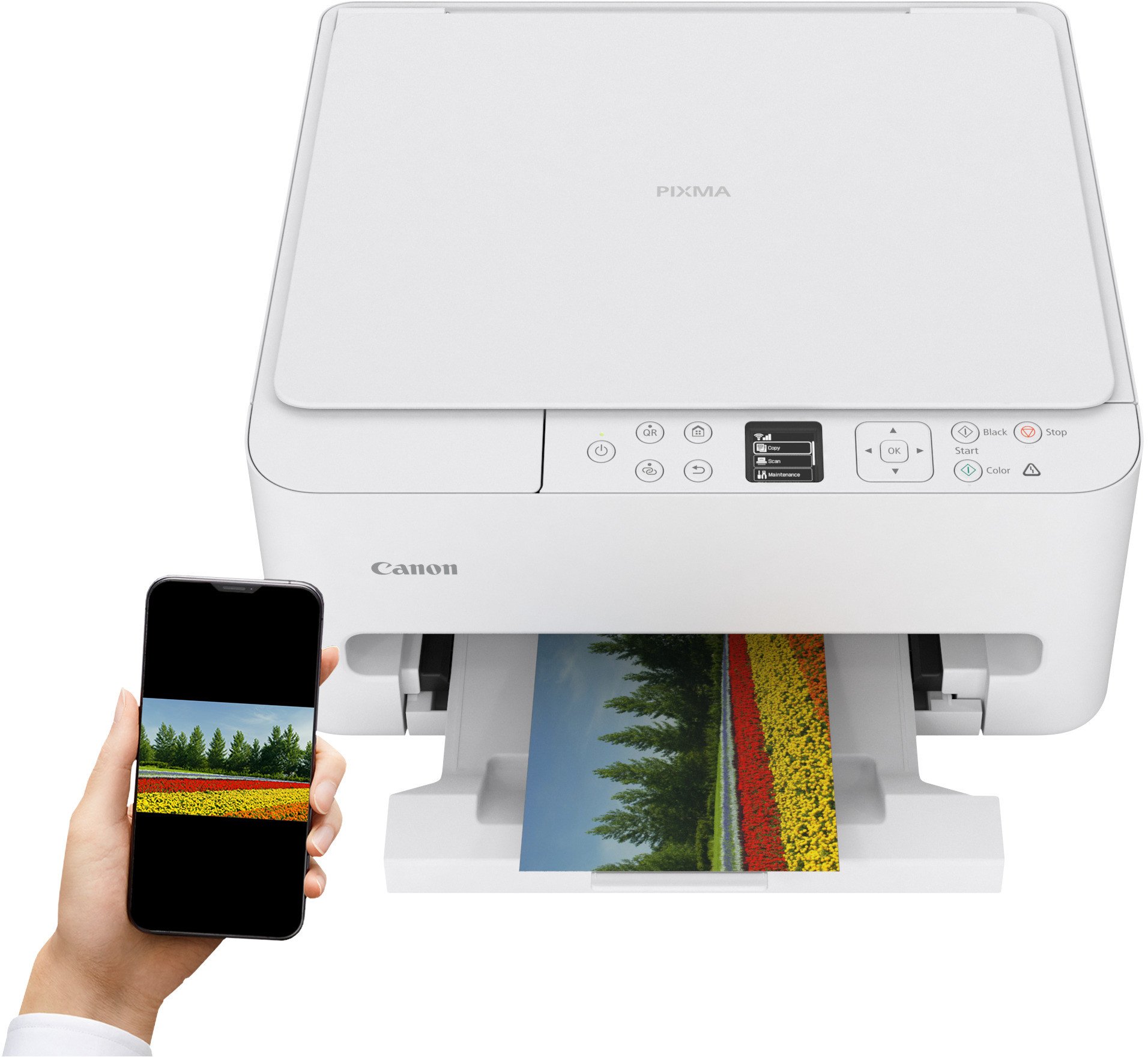 Printer multifunksional Canon PIXMA TS6550i, me ngjyra, Wi‑Fi, i bardhë
