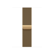 Apple Watch 40mm Radiant Gold Milanese Loop