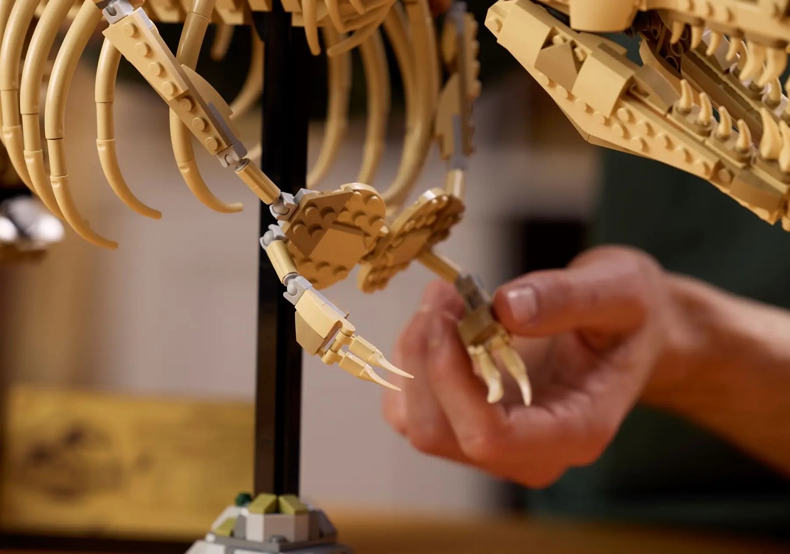 Set LEGO Dinosaur Fossils Tyrannosaurus Rex, model ndërtimi, dekor ekspozite, shumëngjyrësh