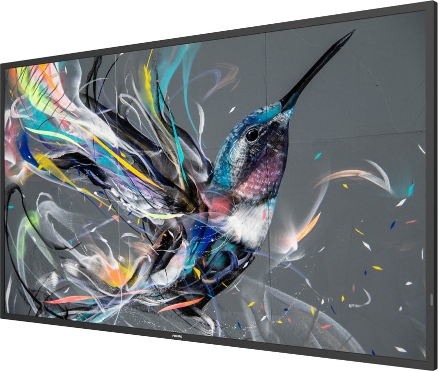 Monitor signage Philips Q-Line 50", 4K UHD, i zi