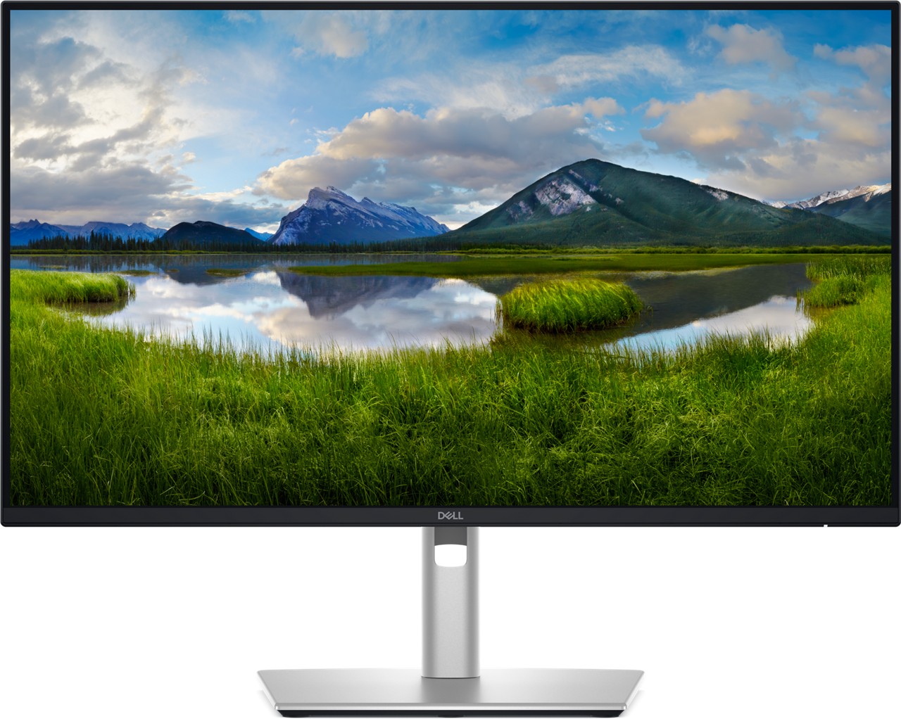 Monitor DELL Pro Plus P2425D, 24", QHD, LCD, i zi/i argjendtë