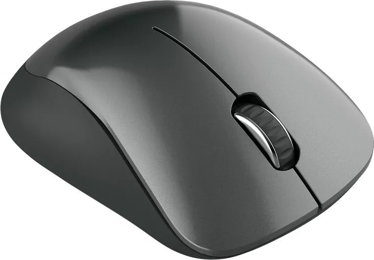 Maus Canyon MW-11, wireless, USB, i zi