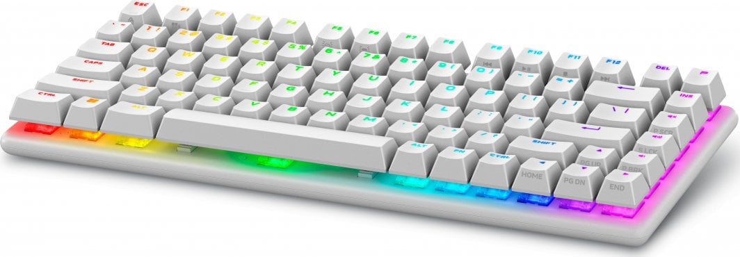 Tastierë wireless Dell Alienware Pro, US, RGB e bardhë