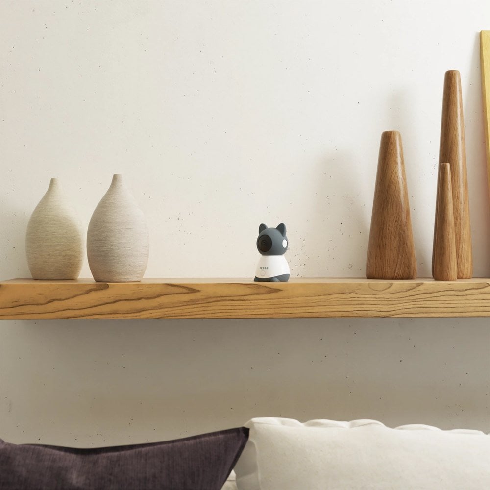 Kamerë sigurie për fëmijë Tesla Nanny B250