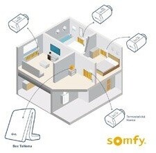 Kokë termostatike Somfy io Somfy, e bardhë
