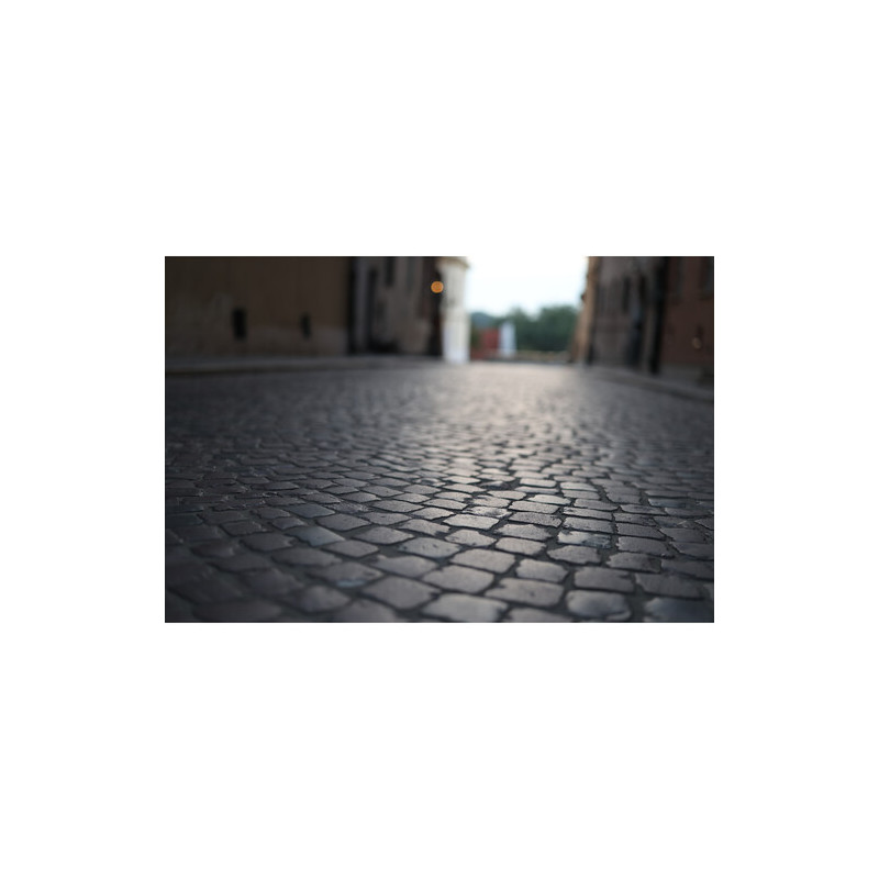 Canon RF 50mm f/1.4 L VCM