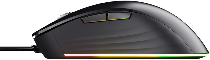Maus Trust GXT 924 YBAR+, i zi