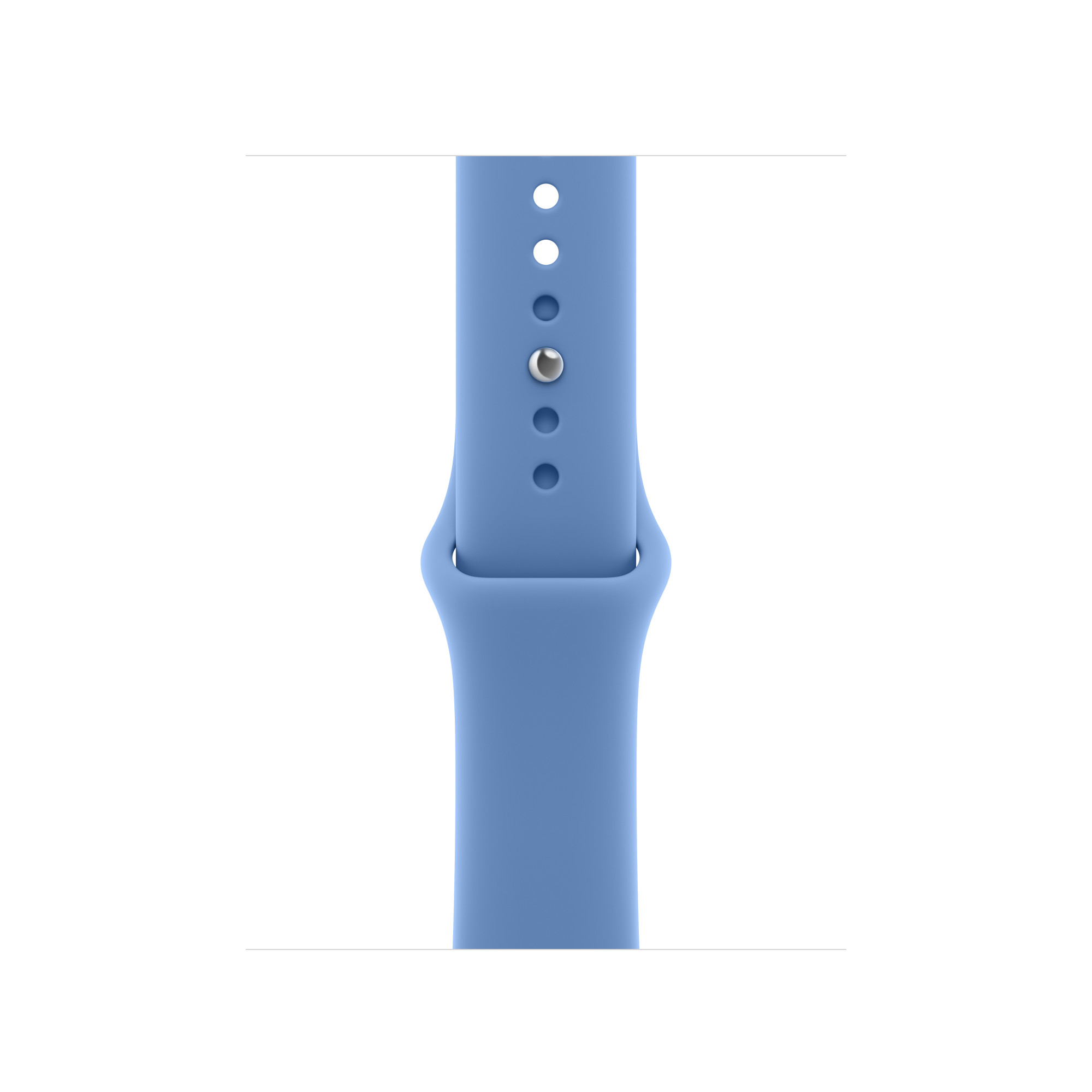 Apple Watch 40mm Wildflower Blue Sport Band, S/M