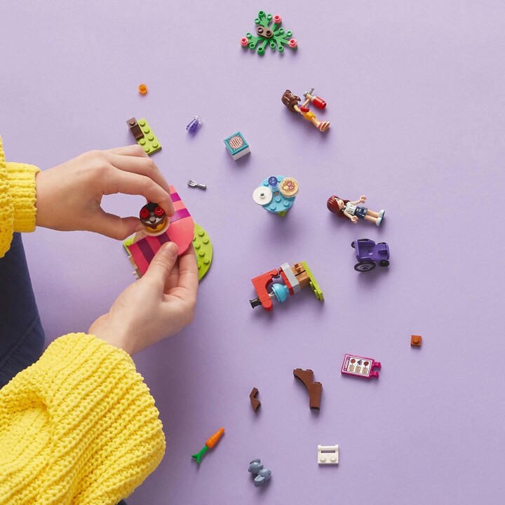 Set LEGO Friends 41753