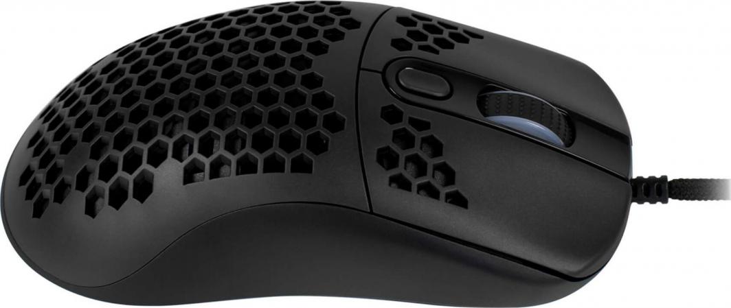 Maus Arozzi Favo, i zi