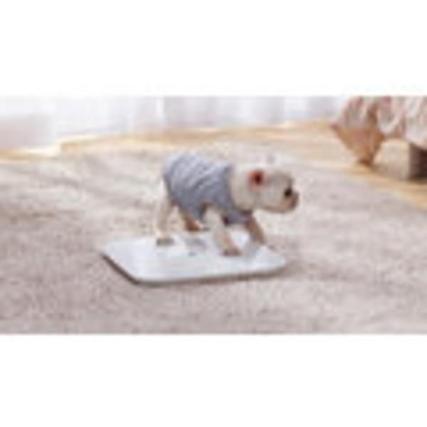 [OUTLET] Peshore Xiaomi Mi Smart 2, e bardhë