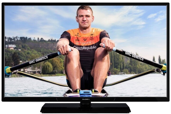 Televizor GoGEN TVF 32P559, 32” (80 cm), Full HD, i zi