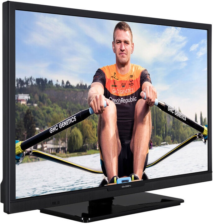 Televizor GoGEN TVH 24P452, 24'' (60cm), HD, i zi