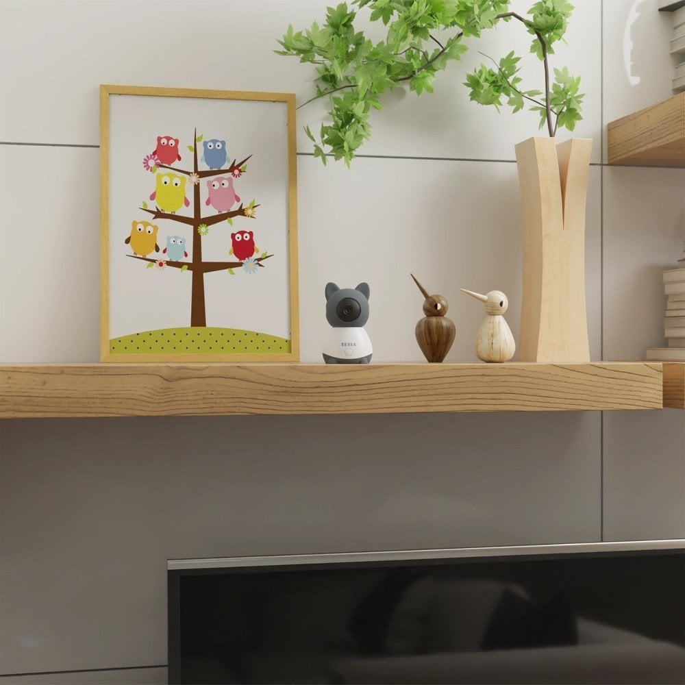 Kamerë sigurie për fëmijë Tesla Nanny B250