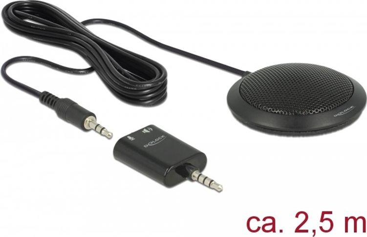 Mikrofon DeLock (65873), mini-jack 3.5mm, 2.5m