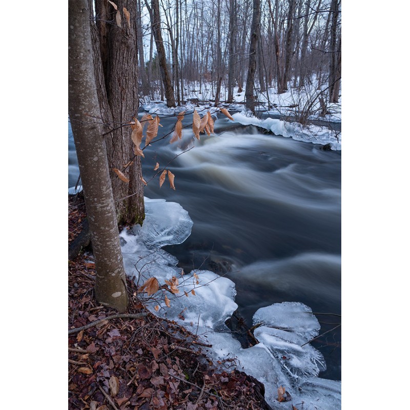 Sigma 16mm f/1.4 DC DN (C) for Sony E