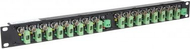 Patch panel Delta G-16/R19, 16x BNC, 19", metalik