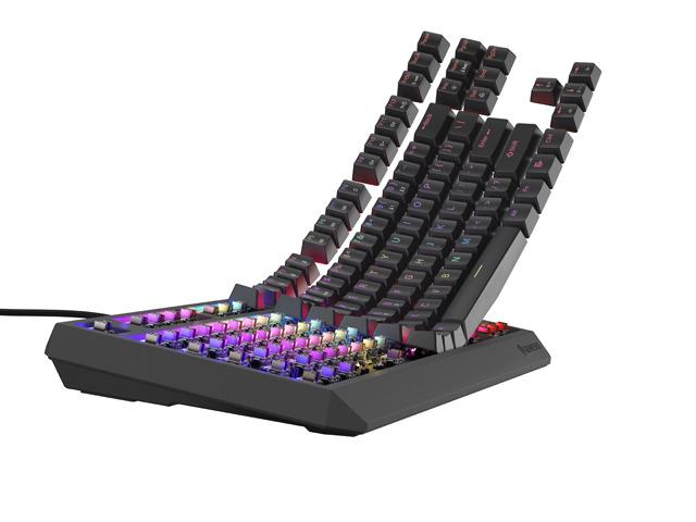 Tastierë mekanike Genesis Thor 230 TKL, Outemu Brown, RGB, e zezë
