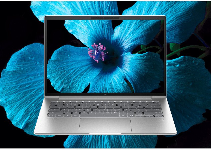 Laptop HP EliteBook 6 G1ah 14, AMD Ryzen 5, 16GB RAM, 512GB SSD, argjendtë