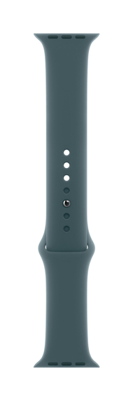 Apple Watch 46mm Sport Band, Lake Green Sport Band, M/L (Seasonal)