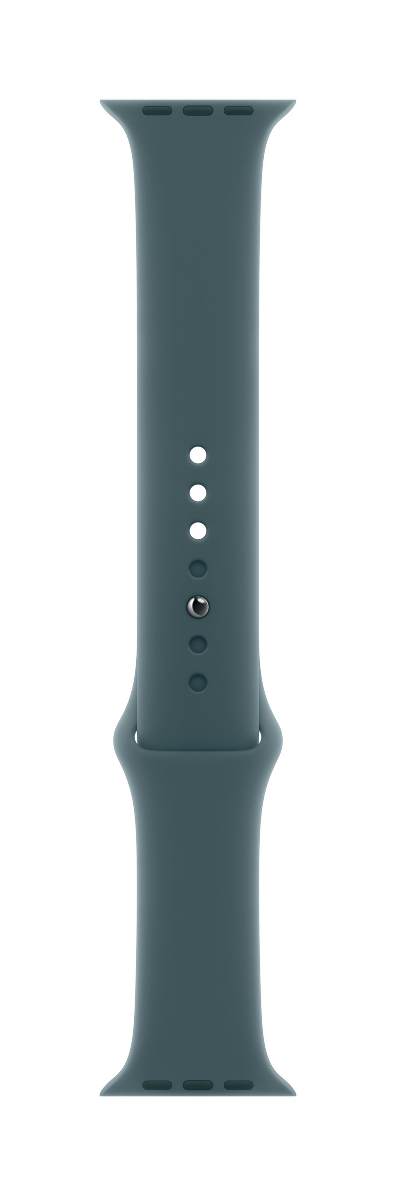 Apple Watch 46mm Sport Band, Lake Green Sport Band, M/L (Seasonal)