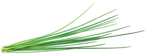 Farë e qepës së re për kopshtin SMART Click and Grow