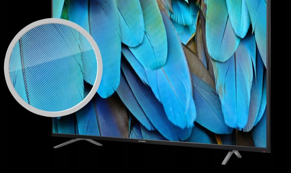 Televizor Sharp 55GK4445E, 55", 4K UHD, i zi