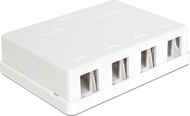 Kuti murale DeLOCK 86208, për 4 module Keystone, e bardhë