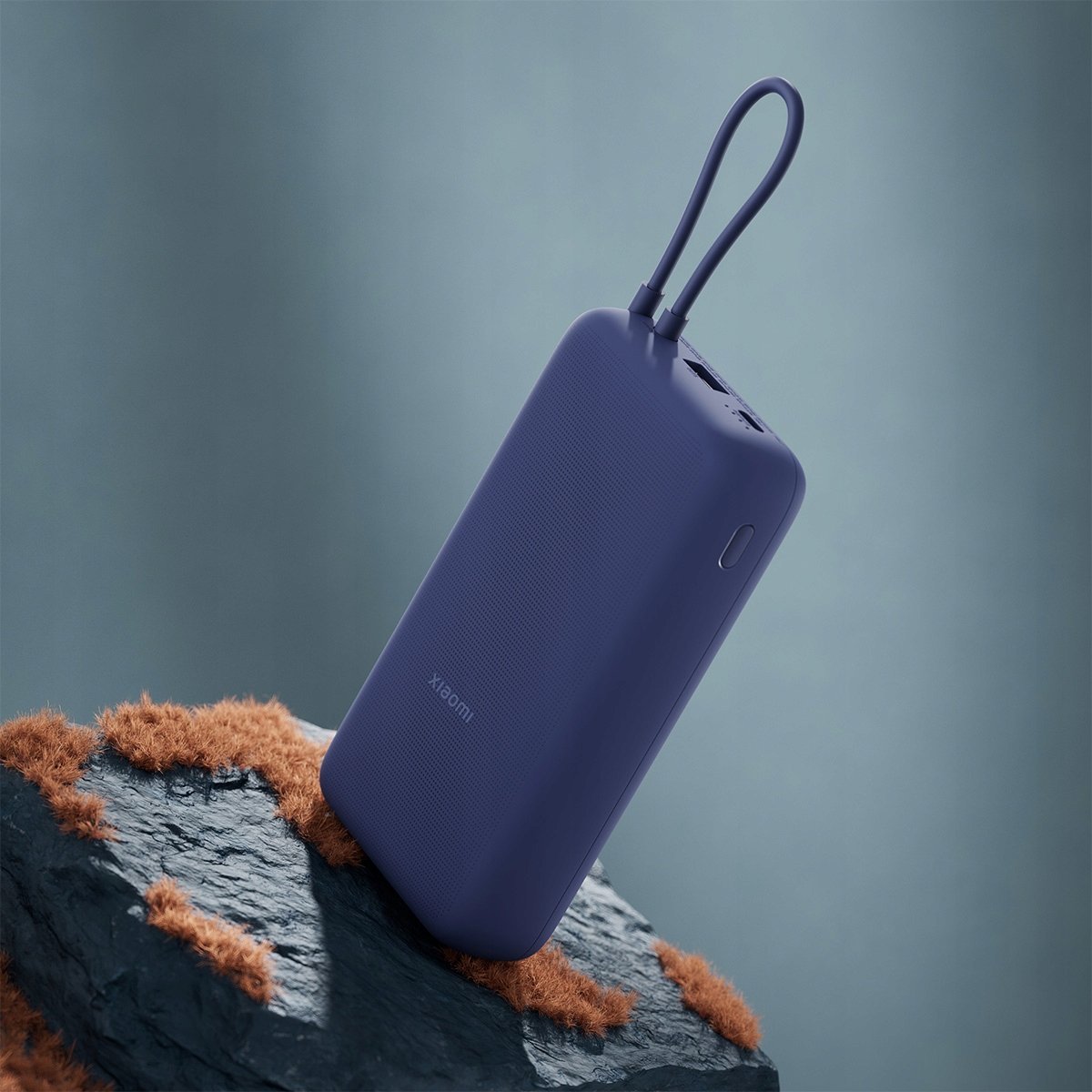 Powerbank Xiaomi PB2030MI, 20000mAh, 33W, blu
