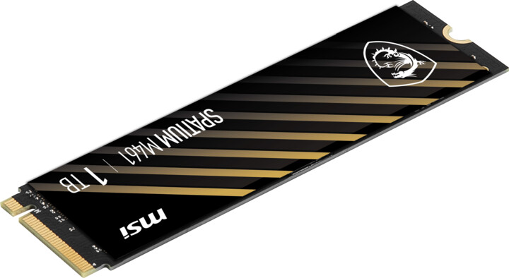 Disk MSI SPATIUM M461, M.2 - 1TB