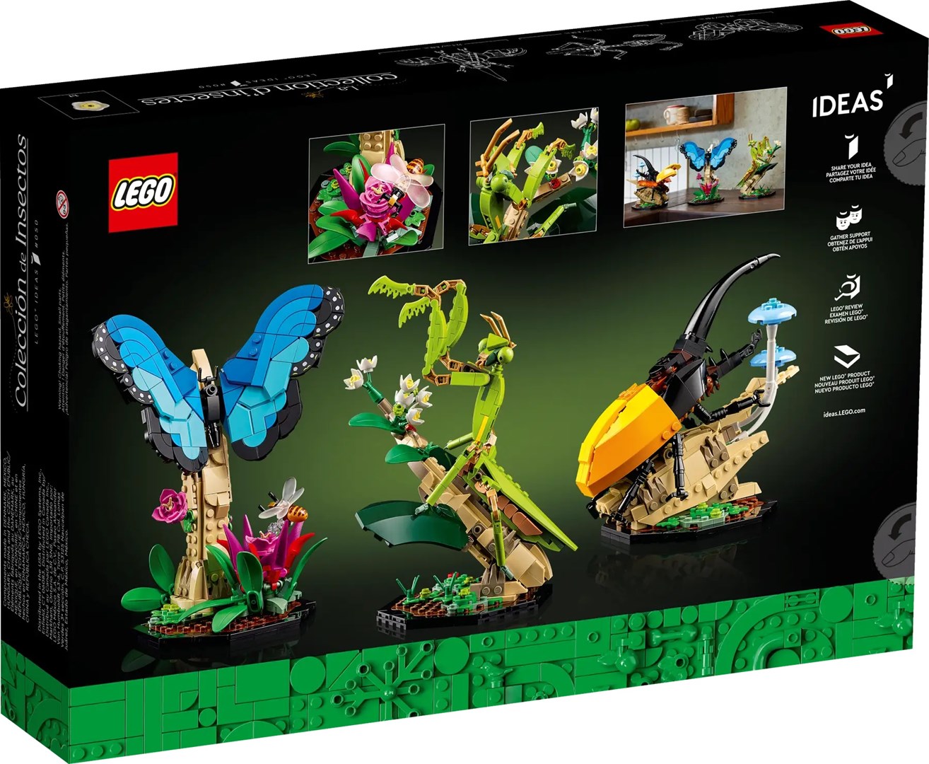 Set LEGO Ideas Insect Collection 21342, modele dekorative, për të rritur dhe fëmijë