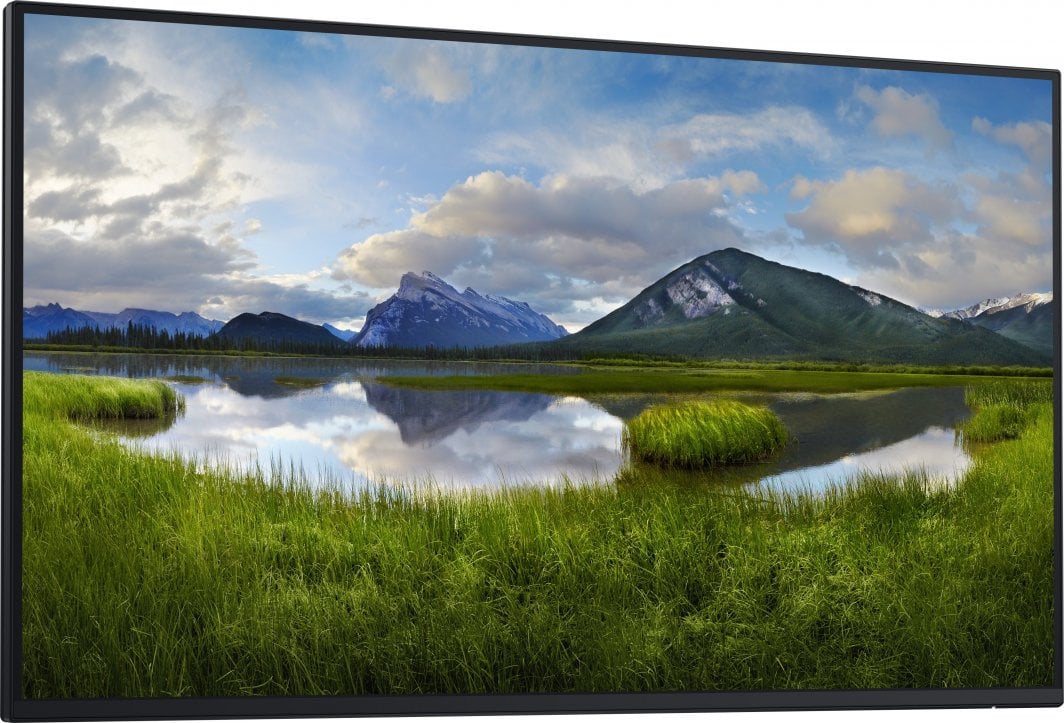 Monitor Dell P2725H, 27", FHD, i zi