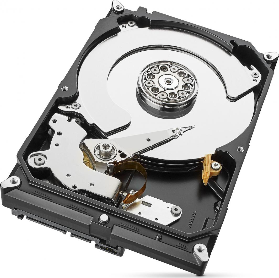 Disk i serverit Seagate Skyhawk, CMR, 4 TB, 3.5 ", SATA III (6 Gb / s) (ST4000VX007)