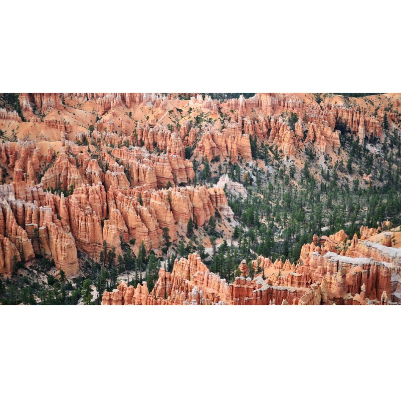 NIKKOR 58mm AF-S f/1.4G