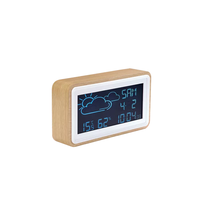 Denver Home Weather WS-72