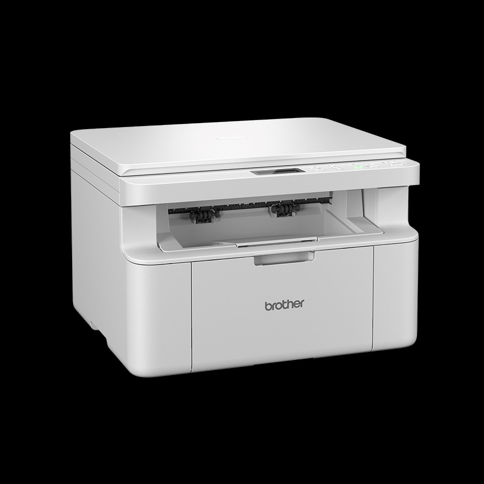 Printer multifunksional Brother DCP-L1630W, i bardhë