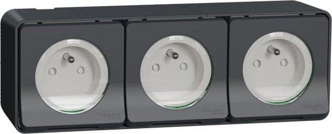 Prizë trefishe Schneider Electric Mureva Styl MUR36037, 2P+PE, IP55, antracit