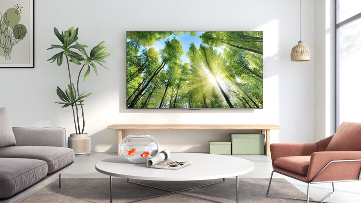 Televizor TCL 75P735, 75" (189cm), 4K UHD, i zi
