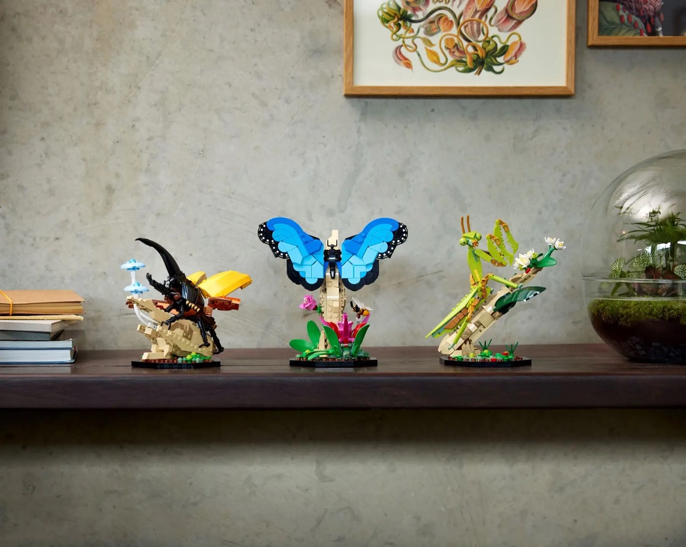Set LEGO Ideas Insect Collection 21342, modele dekorative, për të rritur dhe fëmijë