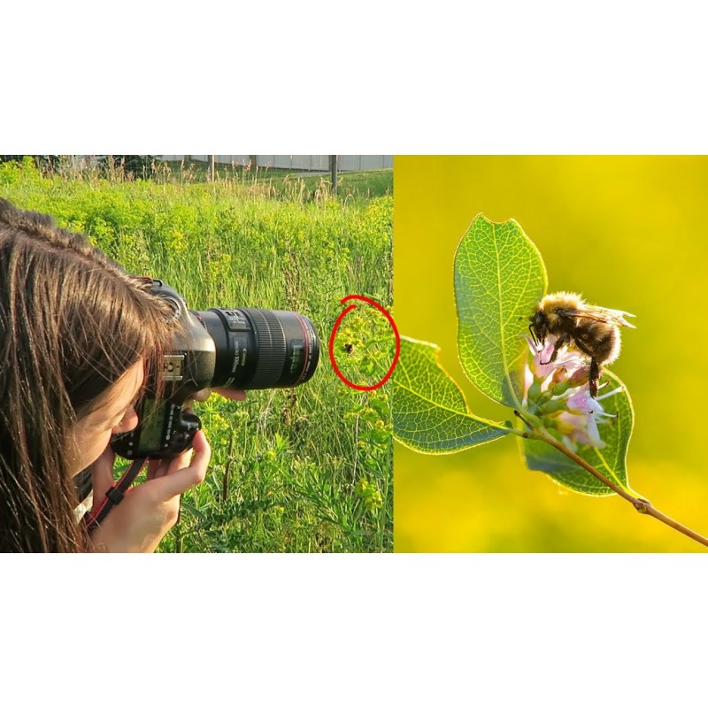 Canon EF 100mm f/2.8L Macro IS USM