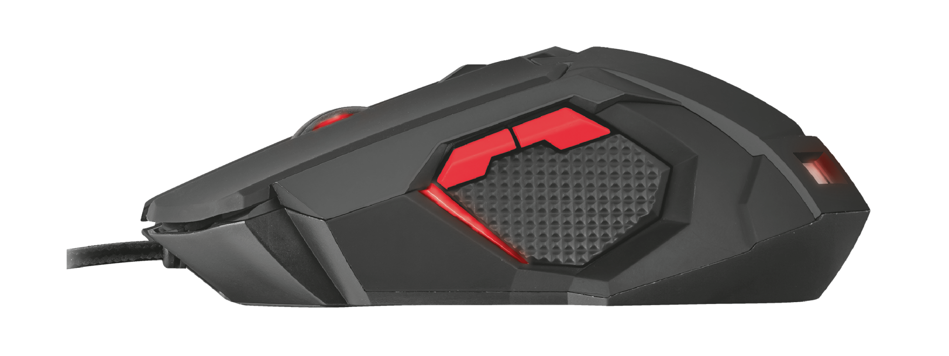 Maus Trust GXT, i zi