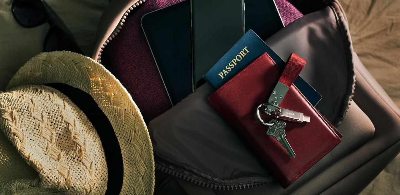 USB SanDisk Ultra Dual Drive Luxe, 256 GB, USB Type-A / USB Type-C