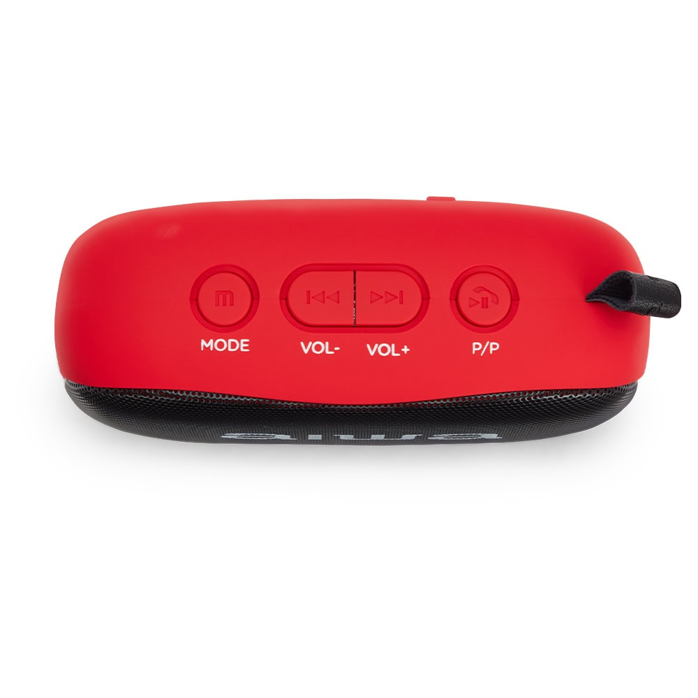 Altoparlant Portativ AIWA BS-110RD