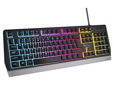 Tastierë Genesis Natec Rhod 300, USB, e hirtë/ e zezë